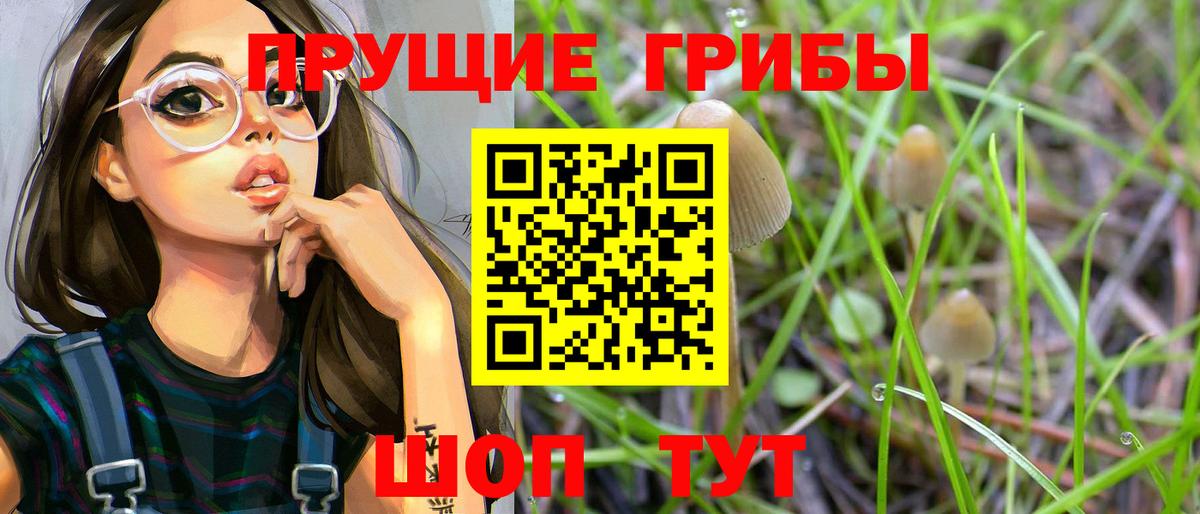 Псилоцибиновые грибы GOLDEN TEACHER  Псилоцибиновые грибы MAGIC MUSHROOMS  цена наркотик  Нижний Новгород  Вход с VPN 