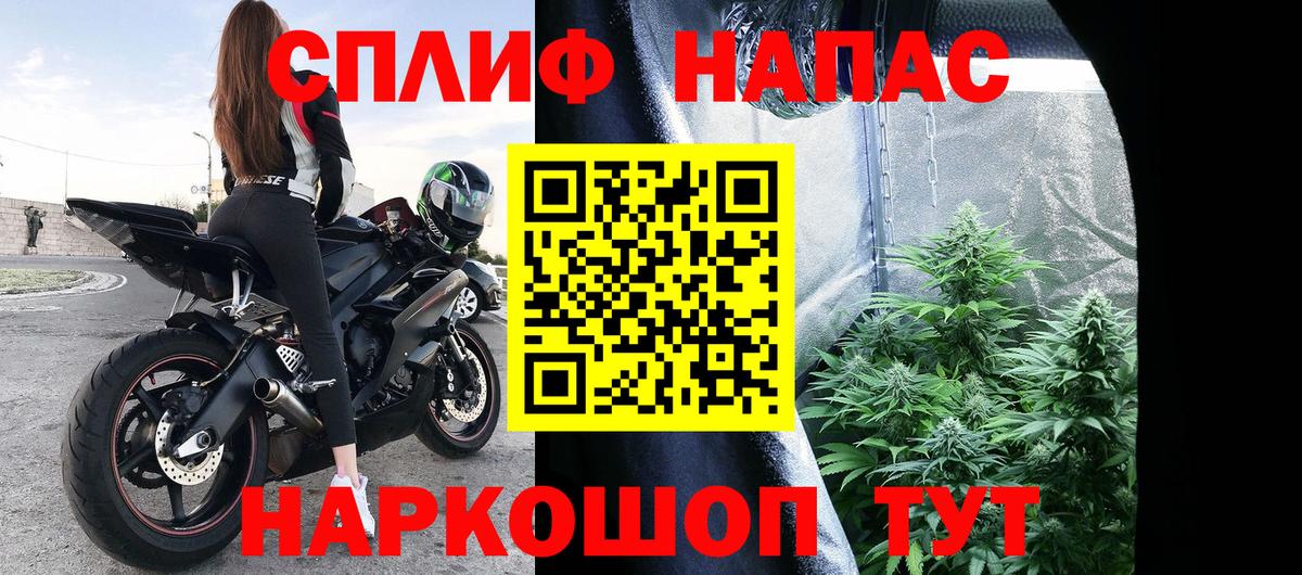 Конопля AK-47 Нижний Новгород